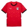 Egypte Thuisshirt 2024-25